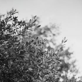 Exposure 01: An Introduction