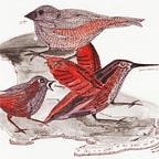 Radio Reversal: The Podcast's Substack