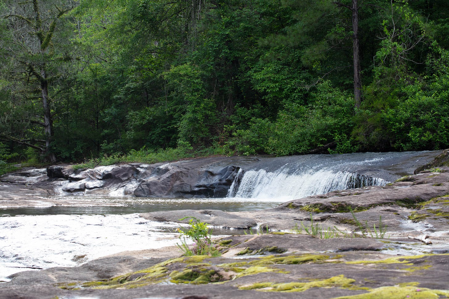 A short waterfall over smooth rocks with a green forest in the background
