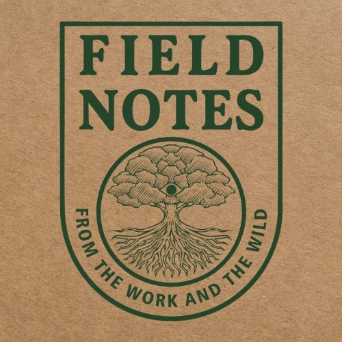 Field Notes from the Work (and the Wild)