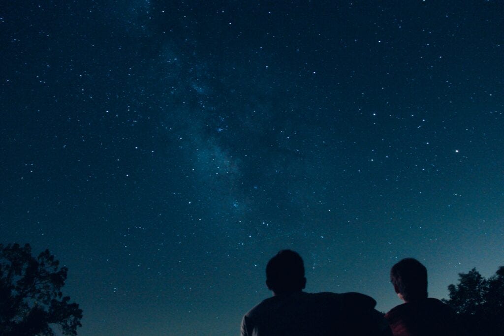 Two shadows silhouetted against the starlit sky