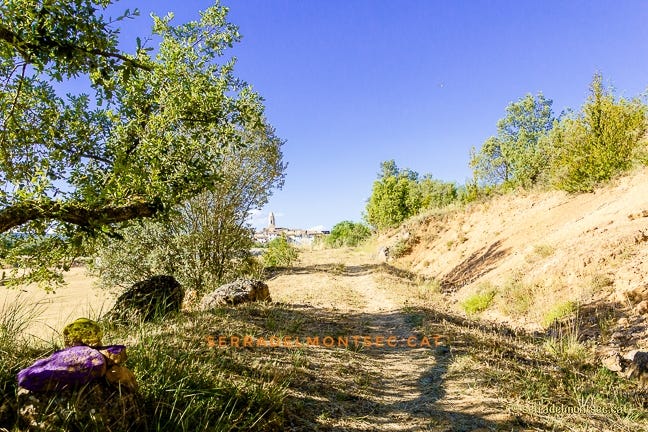 Tram inicial del camí per la vall del riu Queixigar. Al fons emergeixen les taulades i el campanar de l’església de Tolba. Montsec de l’Estall. Ribagorça d’Oscar. Aragó.