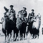 China in Photos | A Camel Caravan, A Road