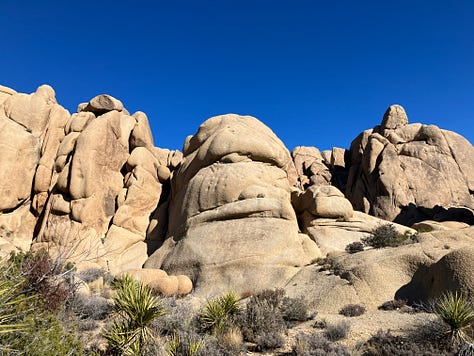 Joshua Trees, Boulders and rock outcroppings, Joshua Tree National Park Sign