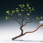 The Tree That Remembers Your Teeth