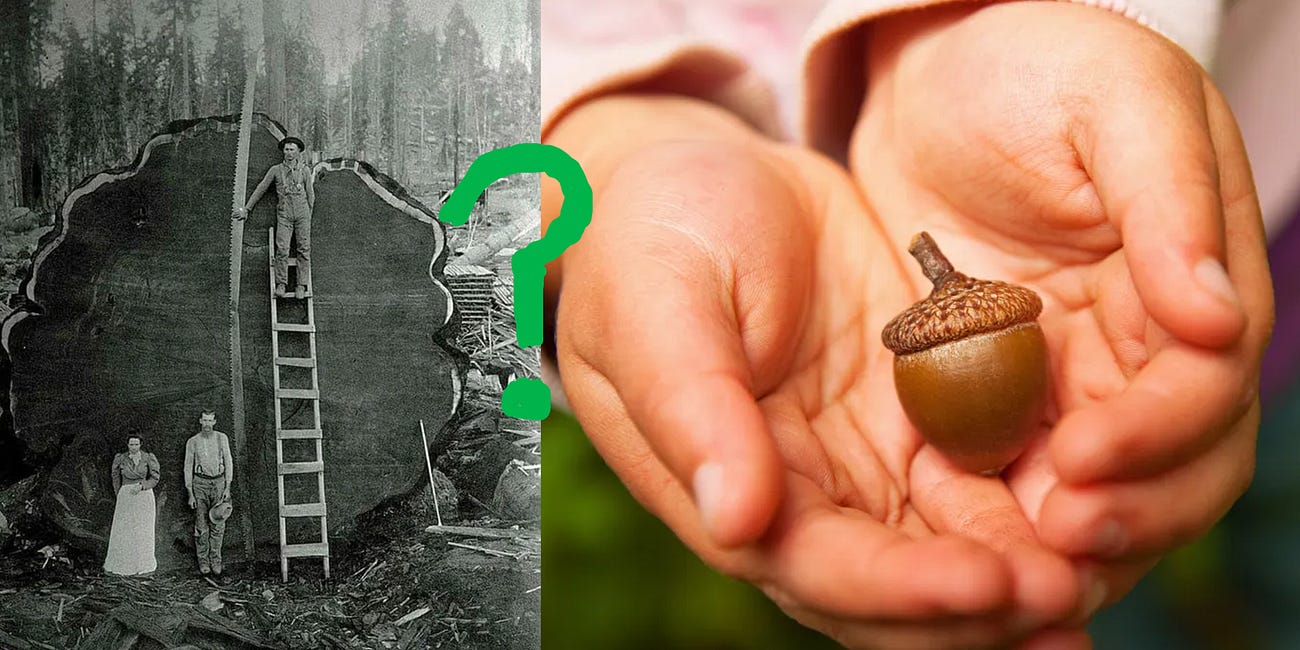 Does Human Progress Necessitate Ecological Destruction? Or Are We Capable Of Being A Keystone Species ?