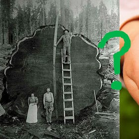 Does Human Progress Necessitate Ecological Destruction? Or Are We Capable Of Being A Keystone Species ?