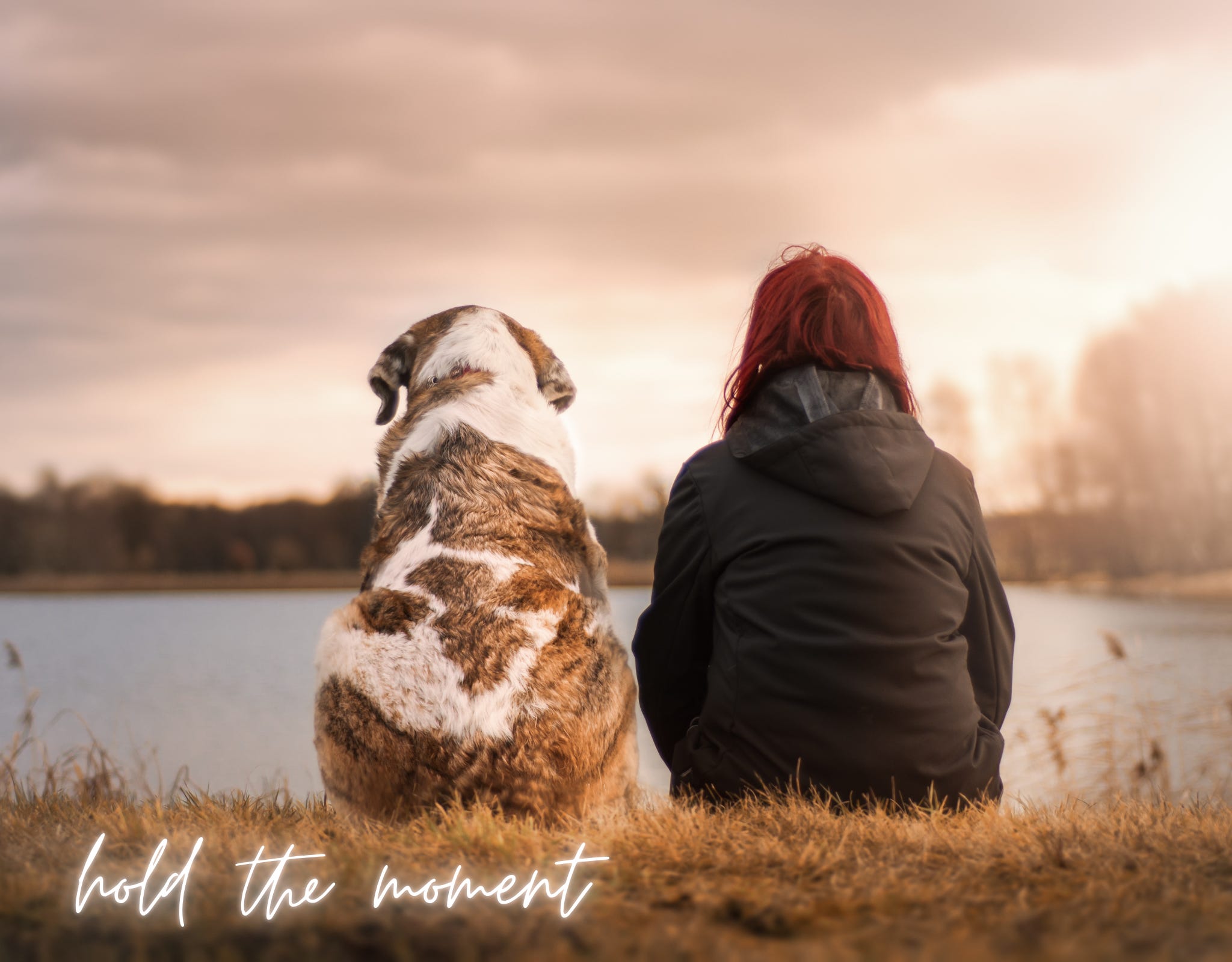 red-headed woman sitting next to brown and white dog at a waterfront. Words at bottom: hold the moment
