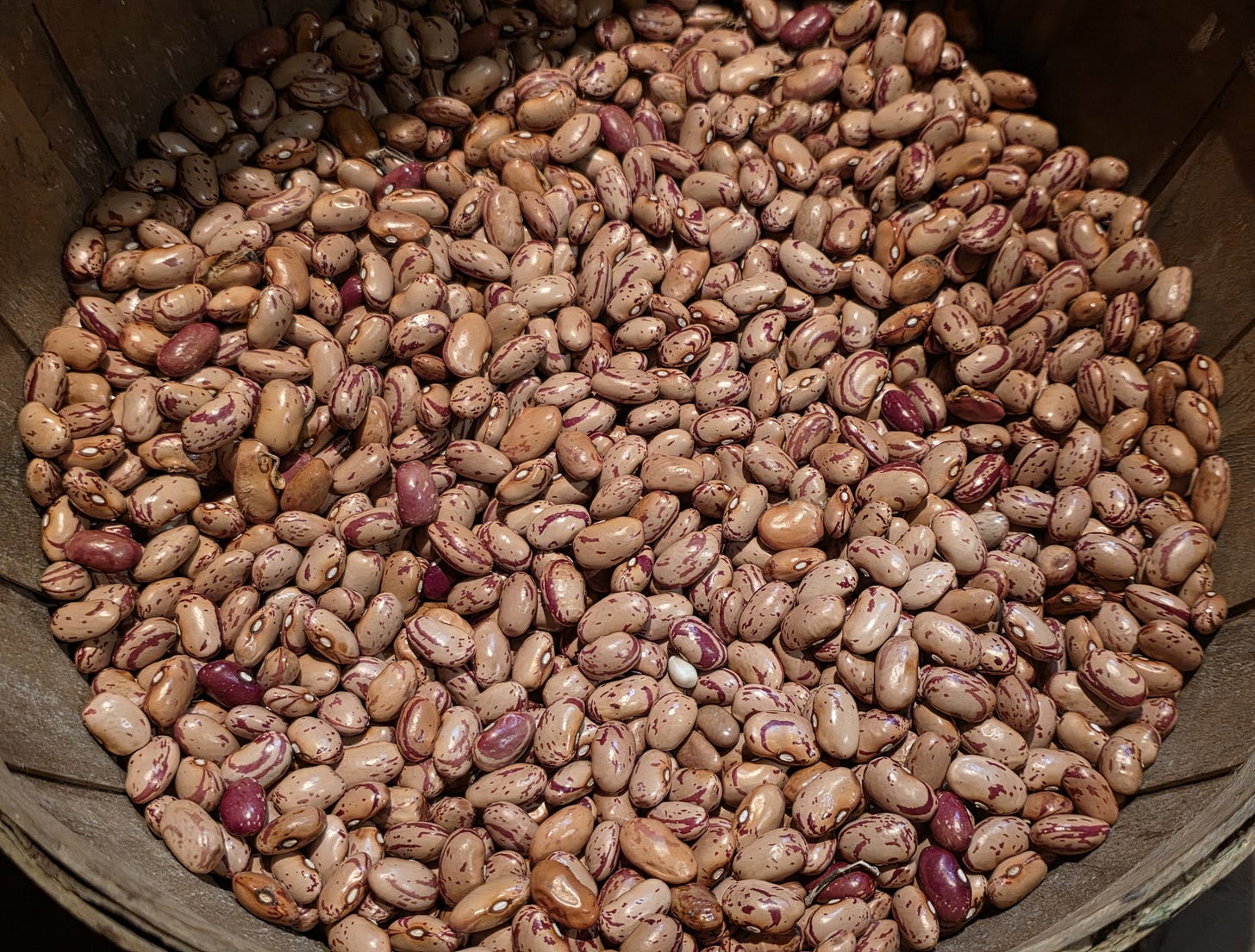 Shelled Beans