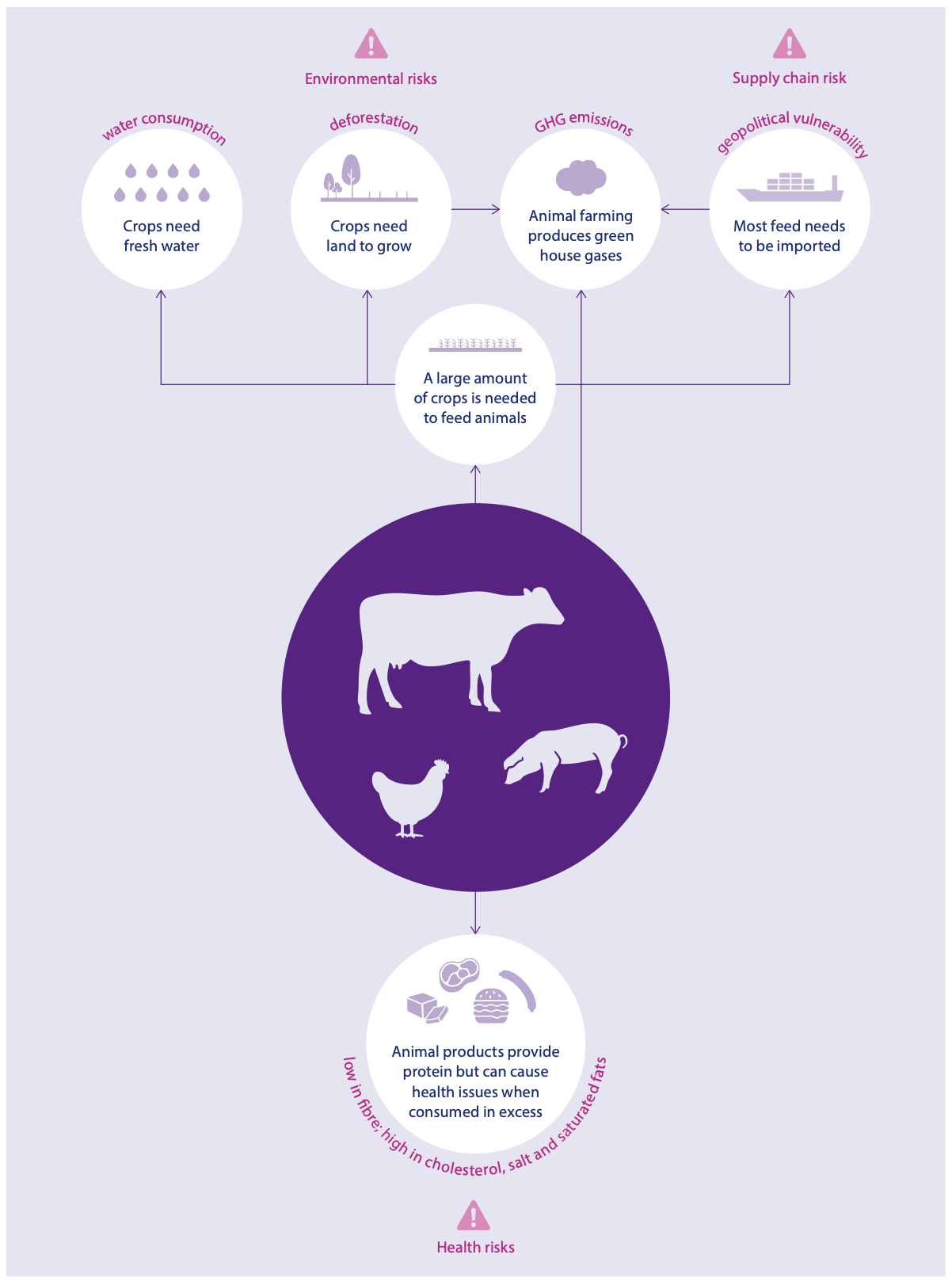A diagram of farm animals

AI-generated content may be incorrect.