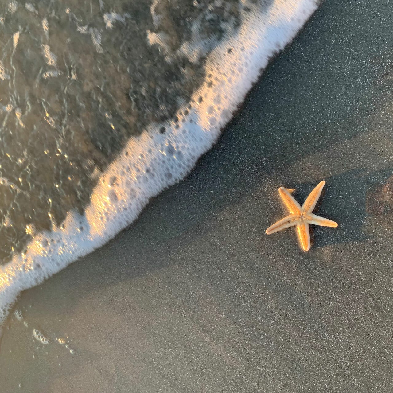 Artwork for All, but Only