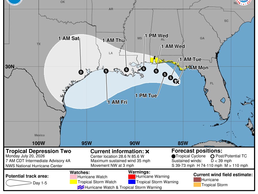 Tropical Depression 2 trying to make the best of a challenging environment in the Gulf