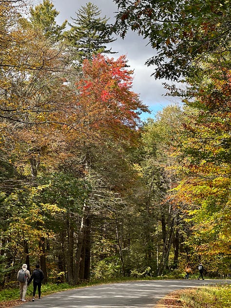 hiking kaaterskill falls shopping in Hudson New York fall foliage nature vintage thrift shop