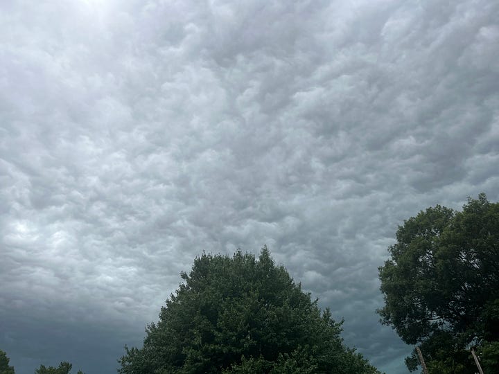 Two photos - one showing a very threatening gray sky and the other showing downed trees after a bad storm