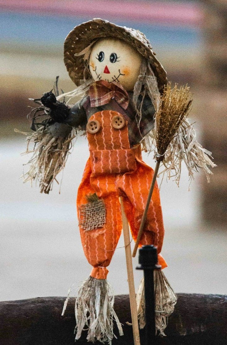 scarecrow selective focus photography