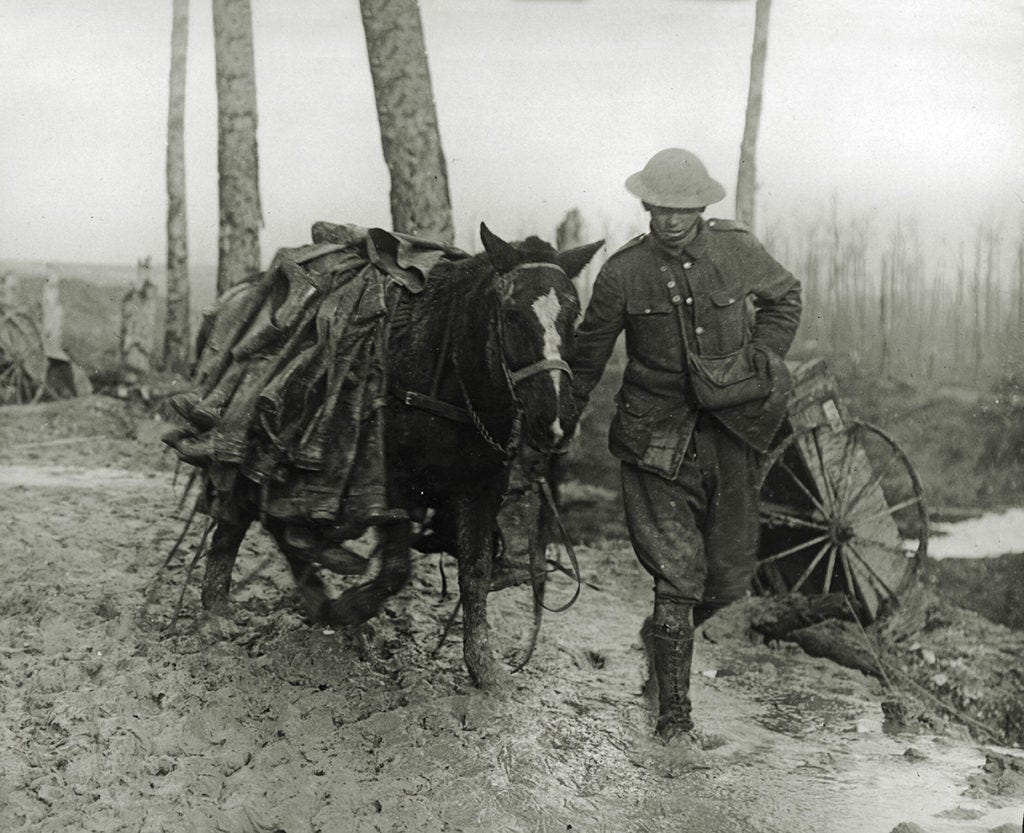 ww1-horse-mud-soldier ww1-horse-mud-soldier