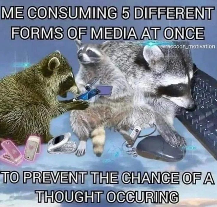 Image Description: Three raccoons are depicted using various devices simultaneously, including a phone, keyboard, mouse, and handheld game console, with the text above reading, "ME CONSUMING 5 DIFFERENT FORMS OF MEDIA AT ONCE" and below reading, "TO PREVENT THE CHANCE OF A THOUGHT OCCURING." Image Description: Three raccoons are depicted using various devices simultaneously, including a phone, keyboard, mouse, and handheld game console, with the text above reading, "ME CONSUMING 5 DIFFERENT FORMS OF MEDIA AT ONCE" and below reading, "TO PREVENT THE CHANCE OF A THOUGHT OCCURING."
