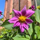 How nature saved my life