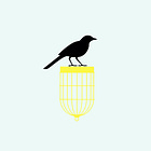 Meditation To connect with your intuition to use Mona Eisa.com