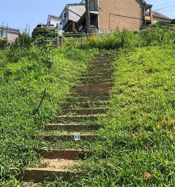 City steps within South Side Park.