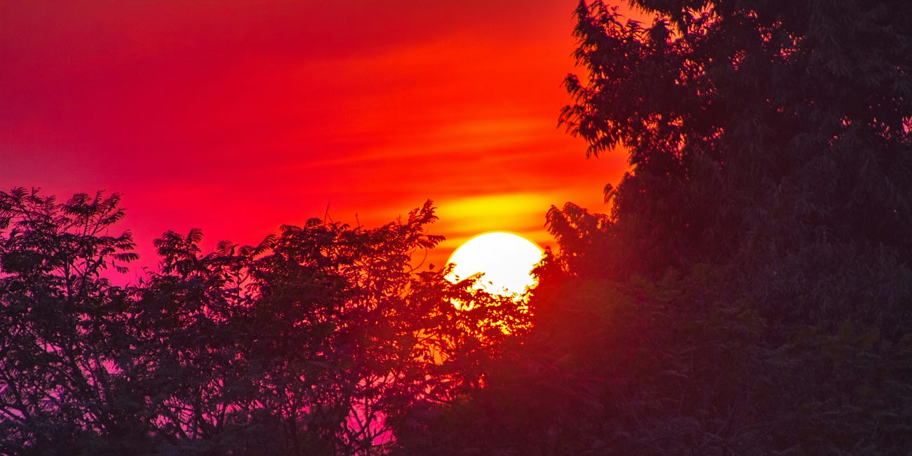 🌞 3 Reasons to Love Your Beautiful Renewable Power: Sunny Climate News