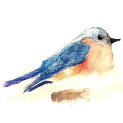 LadyBluebird Archives.