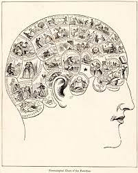 Pseudociencia - Wikipedia, la enciclopedia libre