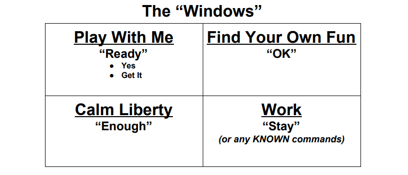A screenshot from Jay Jack's free foundational lesson plan showing the play, find your own fun, calm liberty, and work windows of opportunity A screenshot from Jay Jack's free foundational lesson plan showing the play, find your own fun, calm liberty, and work windows of opportunity