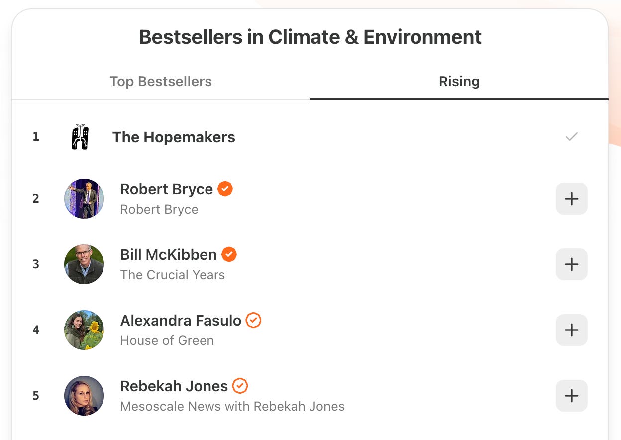 Screenshot showing The Hopemakers as number 1 rising bestseller