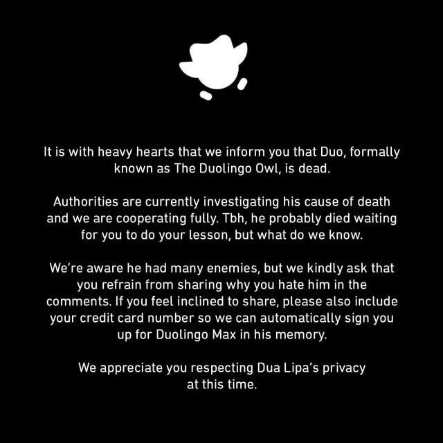 Duolingo probably has one of the best brand voices in modern marketing. : r/ marketing