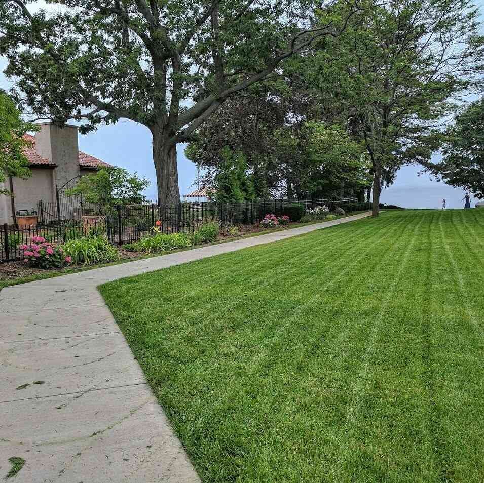 Rochesters secret hidden sidewalk Rochesters secret hidden sidewalk