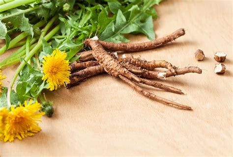 10 Health Benefits of Dandelion Roots - eMediHealth