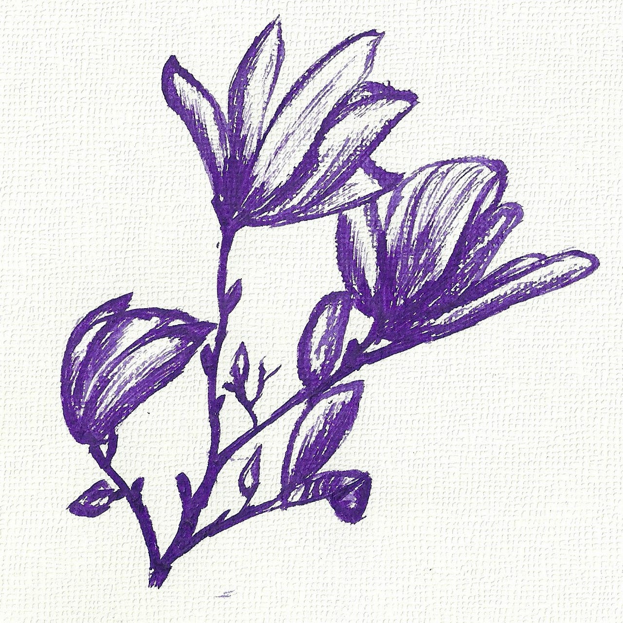 Painting with Words: Writing Tips and Inspiration