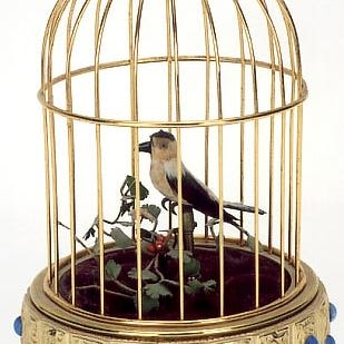 Peter Frost’s Newsletter