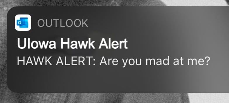 hawk alert