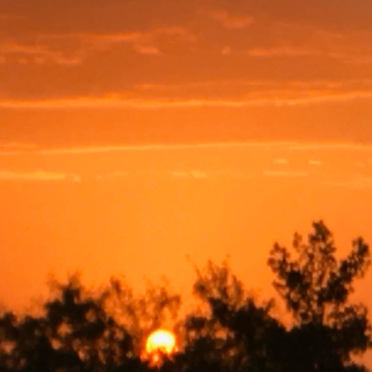 Pierre’s Newsletter