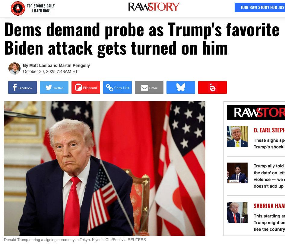 Screengrab of Aska Pol founder Matt Laslo's Raw Story feature 