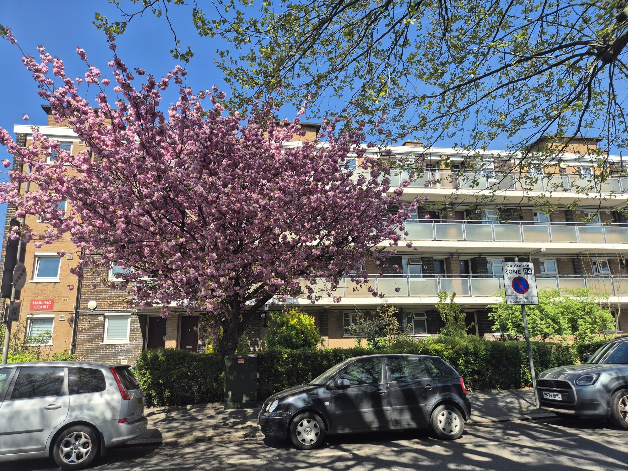 I'll bring you flowers, before the world ends