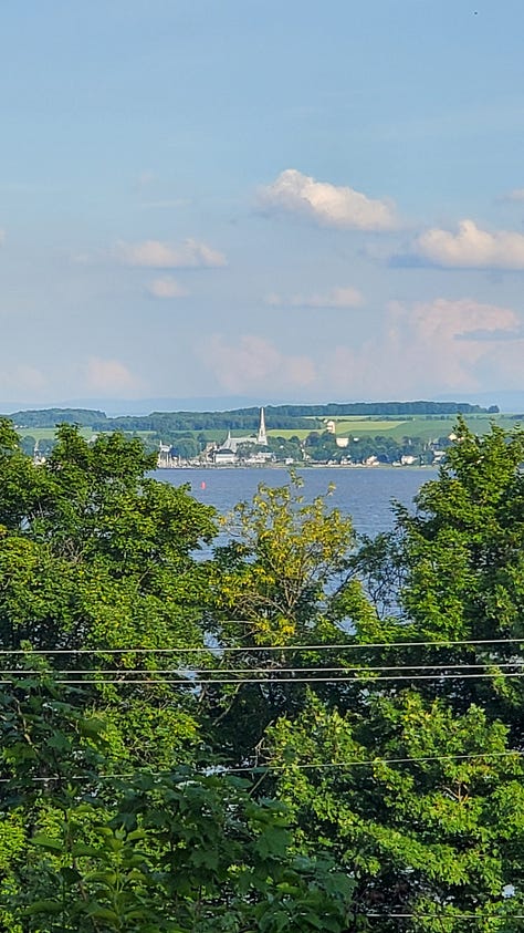A nine-image gallery grid. Top row, left to right: geraniums and other flowers in a yard, a view of hills from the top of a ridge, a rainbow in a neighborhood. Middle row, left to right: Potted plants on a backyard patio, looking through trees to a river and a small village on the far side of the river, an abundant backyard garden. Bottom row, left to right: a chipmunk perched on the edge of a large metal dog bowl, getting a drink, graffiti on a train car, two magpies on a wire fence.