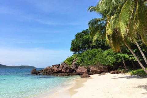 That’ll do. Photo: Cindy Fan That’ll do. Photo: Cindy Fan