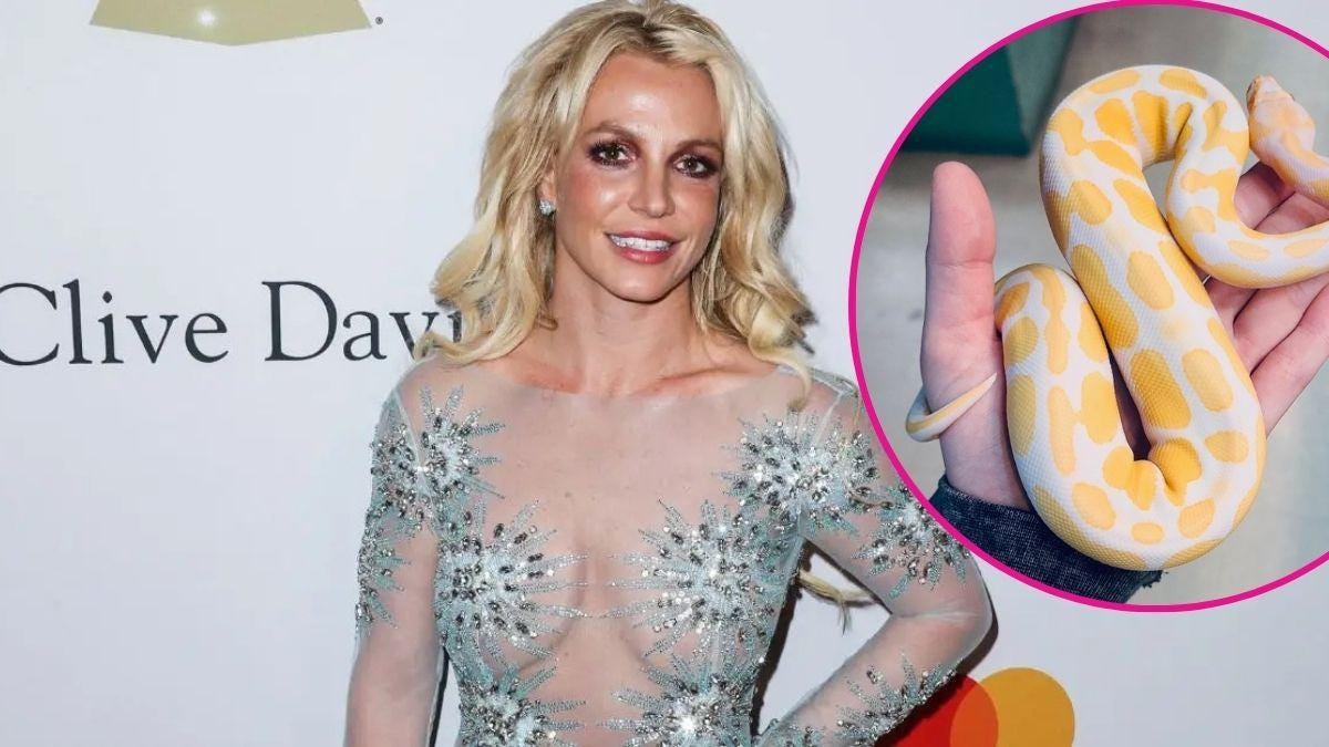 image of Britney Spears image of Britney Spears