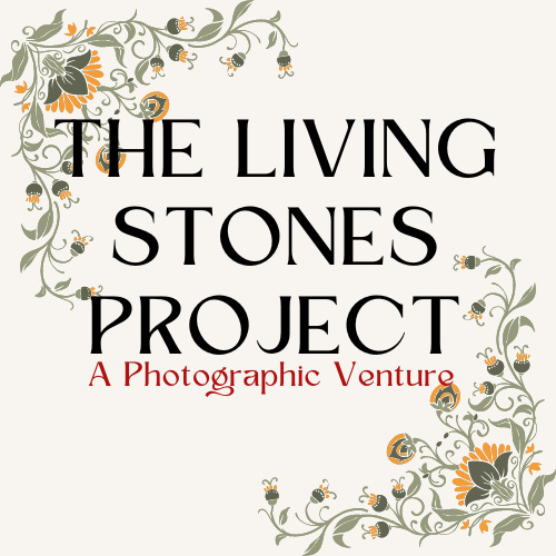 The Living Stones Project