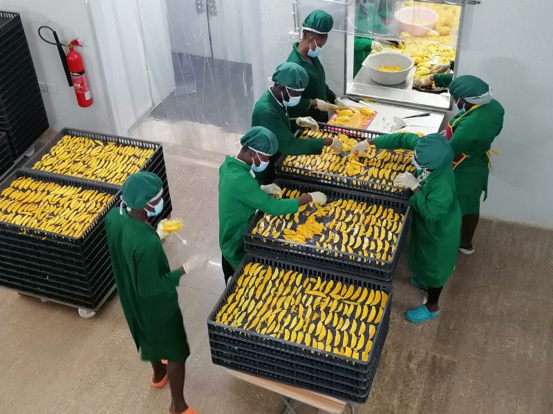 Pure and Just Food's processing facility in Ghana.