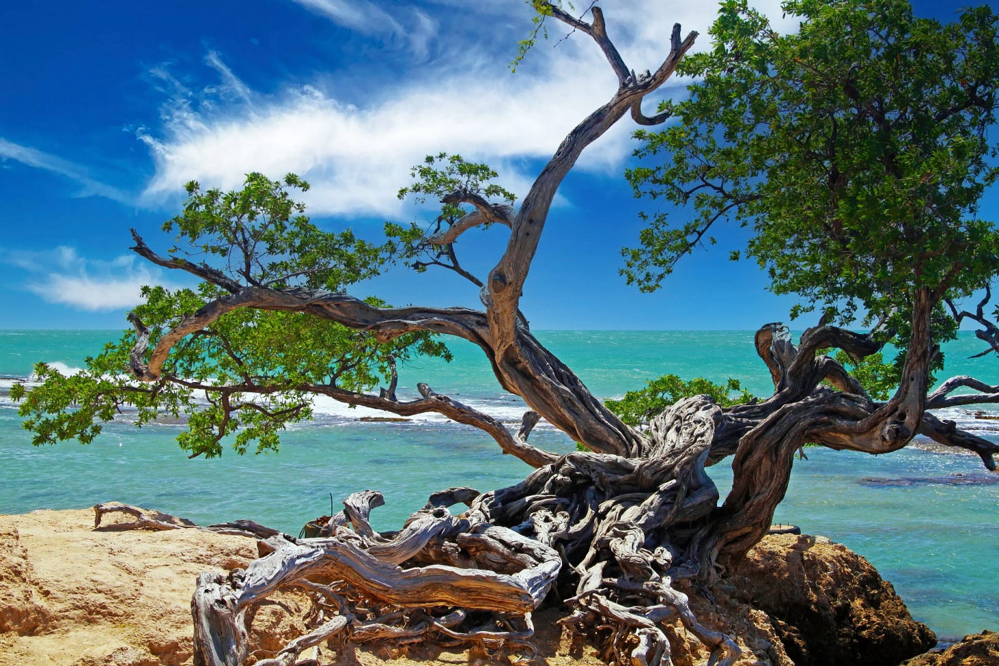 The Full History of Mandeville, Jamaica