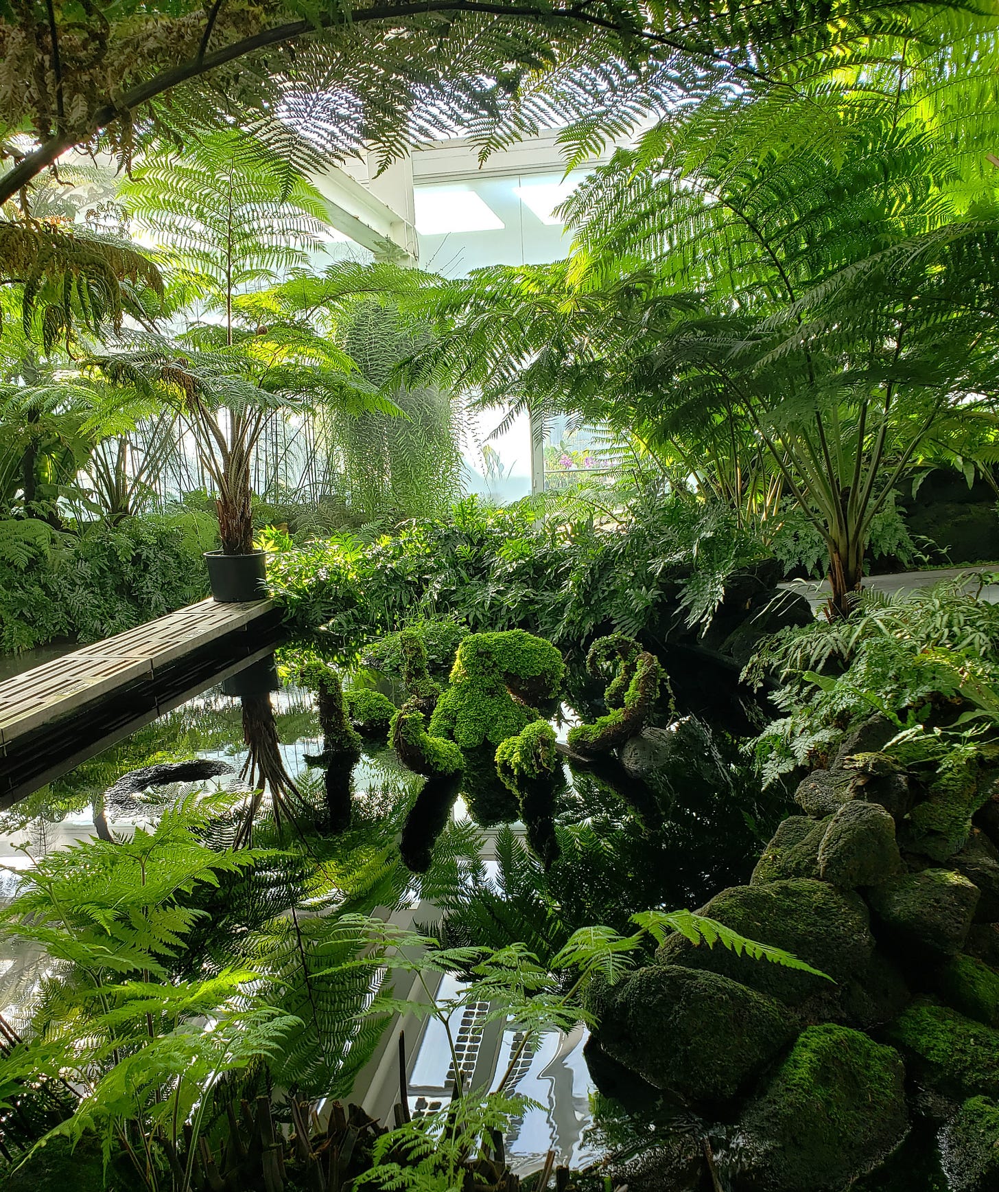 A plant covered octopus statue emerges from a pond enshrouded by lots of ferns to create a beautiful spot in the Fern Room at Como.
