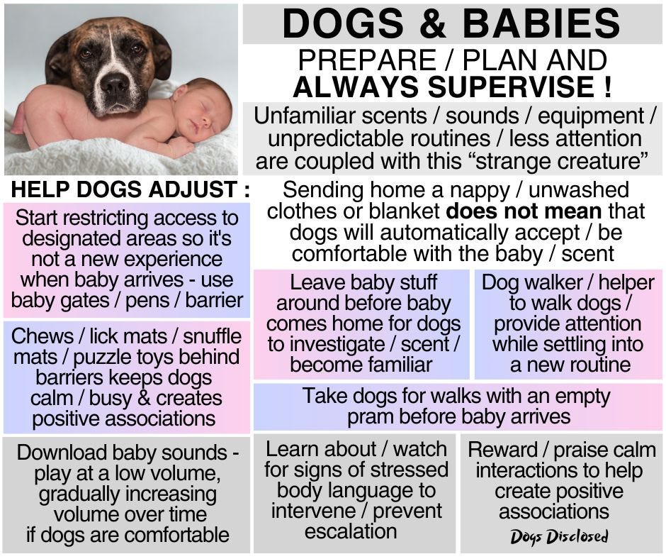 May be an image of 1 person, dog and text that says 'DOGS DOGS Start designated areas it's experience when baby arrives baby BABIES AND ALWAYS SUPERVISE! Unfamiliar equipment/ routines less attention are coupled with this "strange creature" Sending home a nappy unwashed clothes or blanket does not mean dogs will comfortable with the Leave stuff around before baby comes home dogs investigate become familiar Take dogs for walks with an empty pram before baby arrives Reward/ /praise interactions create Chews/ snuffle puzzle toys barriers Dog walker walk provide attention while settling new creates positive associations Download baby sounds- play gradually increasing volume over comfortable signs stressed language prevent escalation Disclosed'
