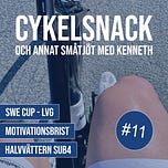 Kenneth Wilsons nyhetsbrev