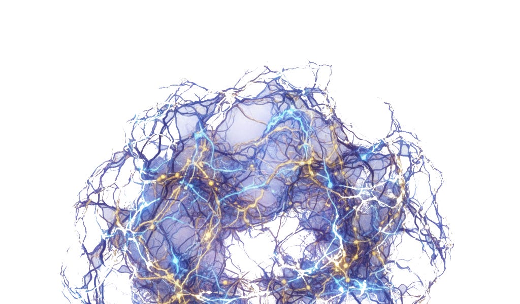 The Birth of Niimi&trade;