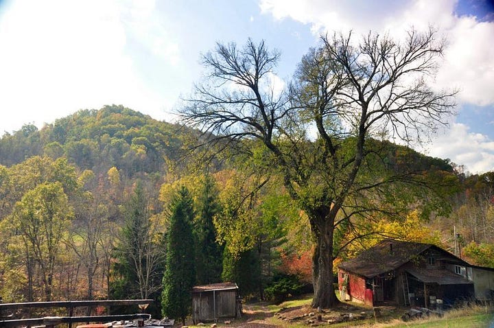 Animals and buildings at the Appalachian Catholic Worker