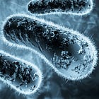 Spike Protein as a endotoxin delivery system